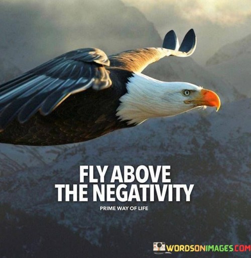 Fly-Above-The-Negativity-Quotes.jpeg