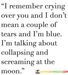 I-Remember-Crying-Over-You-And-I-Dont-Mean-A-Couple-Of-Tears-And-Quotes.jpeg