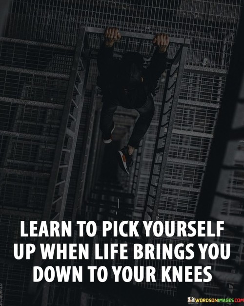 Learn To Pick Yourself Up When Life Brings You Down Quotes