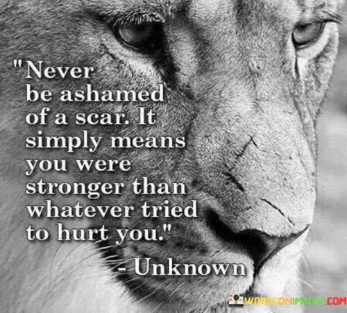 "Never be ashamed of a scar; it simply means you were stronger than whatever tried to hurt you," conveys the idea that scars, whether physical or emotional, symbolize resilience and triumph over adversity.

This quote encourages embracing one's scars as badges of strength and resilience. It suggests that these marks are not signs of weakness but rather evidence of overcoming challenges and emerging victorious. Scars tell a story of battles fought and survived, reminding us of our inner strength.

Ultimately, the quote promotes self-acceptance and a positive perspective on life's trials. It invites individuals to view their scars as symbols of courage, reminding them of their ability to overcome obstacles and emerge even stronger in the face of adversity.