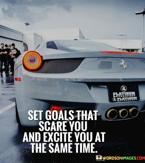 Set Goals That Scare You And Excite You At The Same Time Quotes