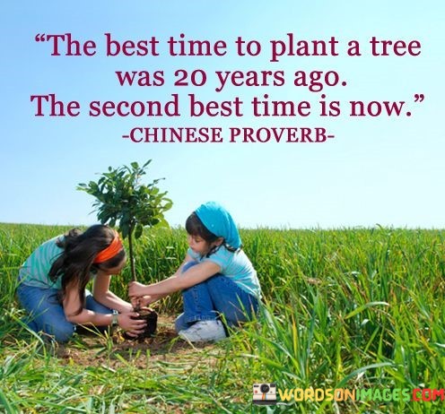 The-Best-Time-To-Plant-A-Tree-Was-20-Years-Ago-Quotes.jpeg