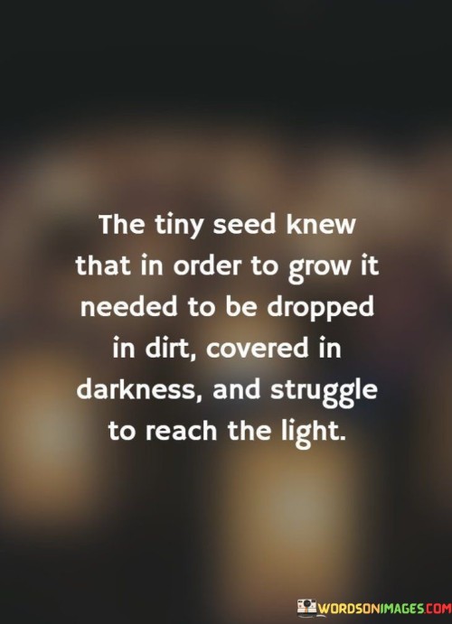 The quote uses a metaphor to convey the essence of growth. It implies that like a tiny seed, personal development requires facing adversity. The seed's journey mirrors life's challenges, signifying that growth necessitates discomfort and challenges. It underscores that progress is often born from struggles and obscurity, ultimately leading to self-realization and achievement.

Growth springs from adversity. The quote implies that evolution thrives in difficulty. It signifies that just as a seed must endure darkness and struggle, humans must confront challenges to flourish. By illustrating nature's process, the quote encourages embracing hardships as vital steps towards personal transformation and growth.

The quote embodies life's transformative journey. It suggests that obstacles propel growth. It conveys that like the seed's ordeal, life's difficulties serve as catalysts for development. By evoking nature's resilience, the quote highlights the significance of perseverance and embracing challenges, leading to personal enlightenment and the realization of potential.