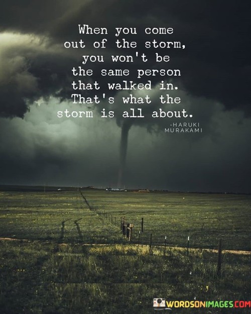When-You-Come-Out-Of-The-Storm-You-Wont-Be-The-Same-Quotes.jpeg