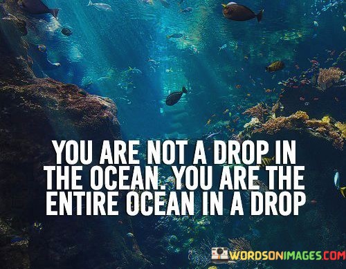 You-Are-Not-A-Drop-In-The-Ocean-Quotes.jpeg