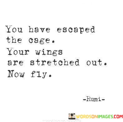 You-Have-Escaped-The-Cage-Your-Wings-Are-Stretched-Quotes.jpeg
