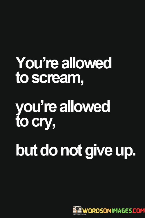 Youre-Allowed-To-Scream-Youre-Allowed-To-Cry-But-Do-Not-Give-Up-Quotes.jpeg