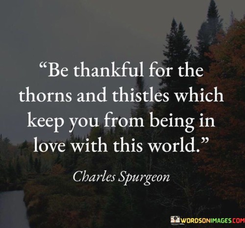 Be-Thankful-For-The-Thorns-And-Thistles-Which-Keep-You-From-Quotes.jpeg