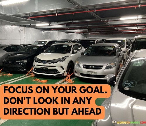 Focus-On-Your-Goal-Dont-Look-In-Any-Direction-But-Quotes.jpeg