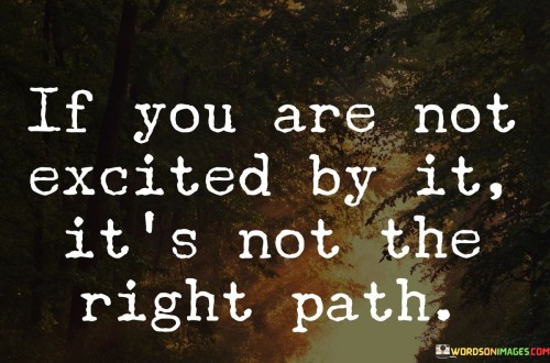 If-You-Are-Not-Excited-By-It-Its-Not-The-Right-Path-Quotes.jpeg