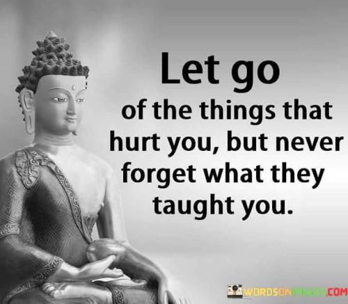 Let Go Of The Things That Hurt You But Never Forget Quotes