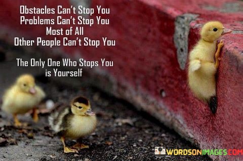 Obstacles-Cant-Stop-You-Problems-Cant-Stop-You-Most-Of-All-Other-Quotes.jpeg