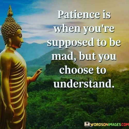 Patience Is When You're Supposed To Be Mad But You Choose Quotes