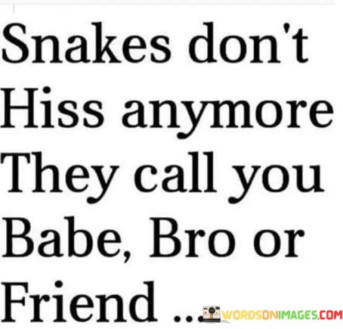 Snakes-Dont-Hiss-Anymore-They-Call-You-Babe-Bro-Or-Friend-Quotes.jpeg