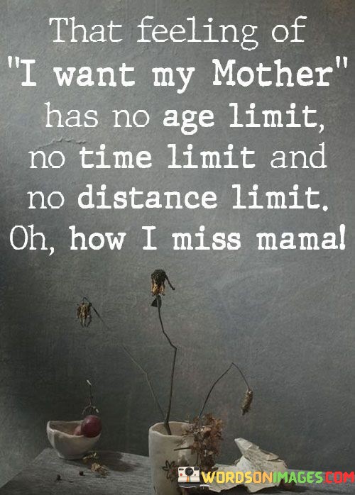 That-Feelings-Of-I-Want-My-Mother-Has-No-Age-Limit-No-Time-Limit-And-No-Distance-Quotes.jpeg