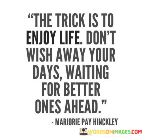 The-Trick-Is-To-Enjoy-Life-Dont-Wish-Away-Your-Days-Quotes.jpeg