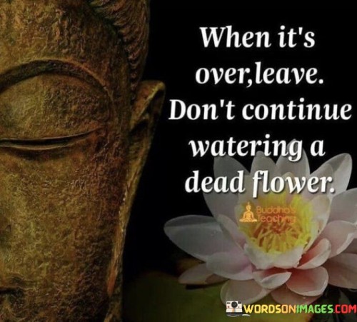 When It's Over Leave Don't Continue Watering A Dead Flower Quotes