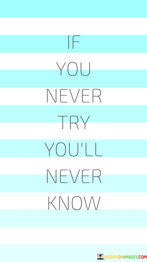 If-You-Never-Try-Youll-Never-Know-Quotes.jpeg