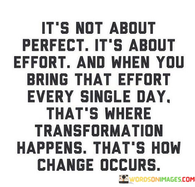 It's Not About Perfect It's About Effort Quotes