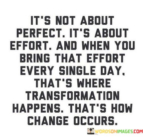 Its-Not-About-Perfect-Its-About-Effort-Quotes.jpeg