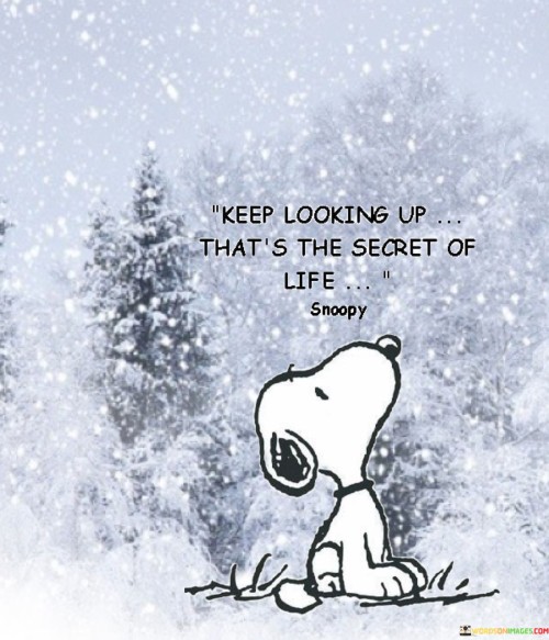 Keep-Looking-Up-Thats-The-Secret-Of-Life-Quotes.jpeg