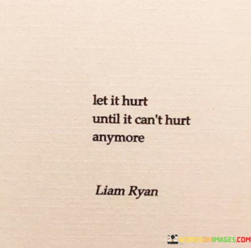 The quote advocates for allowing oneself to feel and process pain. "Let it hurt" signifies acknowledging and experiencing the pain. "Until it can't hurt anymore" suggests that by fully facing and processing the pain, it eventually lessens or heals.

The quote underscores the importance of emotional healing. It reflects the idea that suppressing or avoiding pain can prolong suffering. "Let it hurt" encourages embracing vulnerability and confronting emotional wounds to facilitate recovery.

In essence, the quote speaks to the therapeutic nature of allowing oneself to grieve and heal. It emphasizes that by fully experiencing and processing pain, one can eventually find relief and closure. The quote captures the journey of emotional healing, highlighting the importance of confronting and working through painful experiences to achieve lasting recovery.
