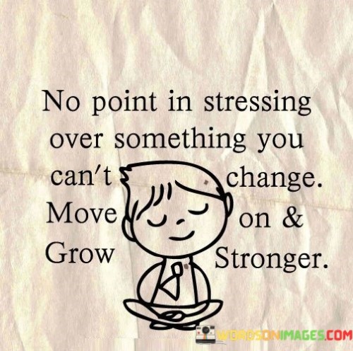 No-Point-In-Stressing-Over-Something-You-Cant-Change-Quotes.jpeg