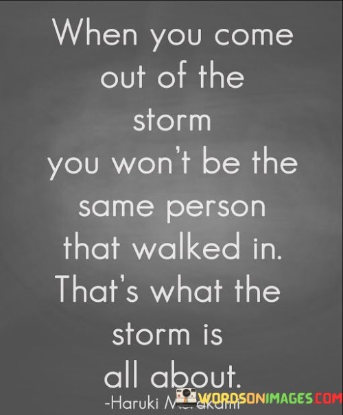 When-You-Come-Out-Of-The-Storm-You-Wont-Be-Quotes.jpeg