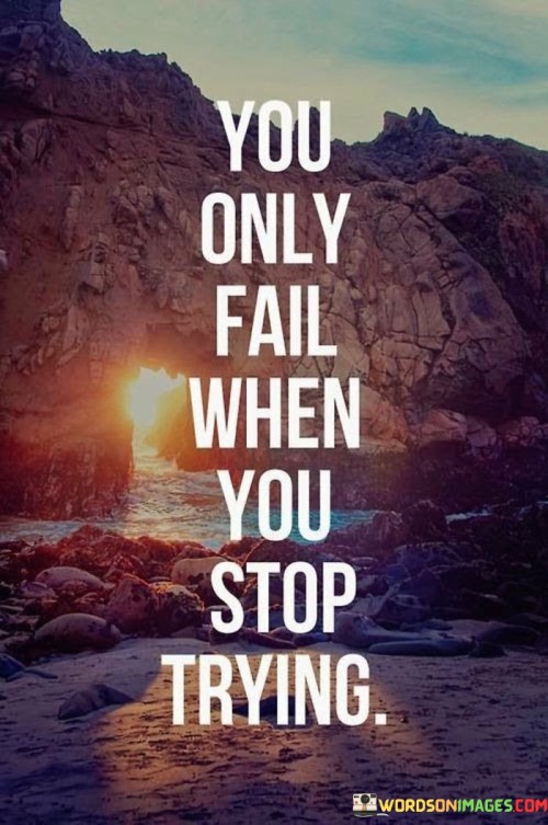 You-Only-Fail-When-You-Stop-Trying.-Quotes.jpeg