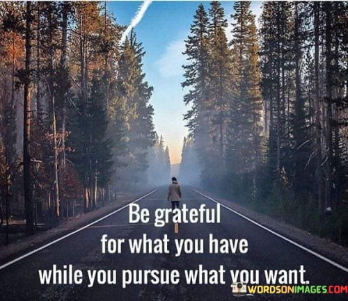 Be-Grateful-For-What-You-Have-While-You-Pursue-Quotes.jpeg
