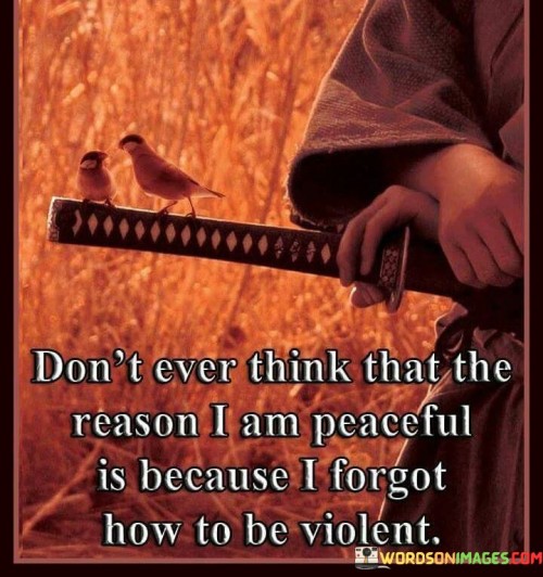 Dont-Ever-Think-That-The-Reason-I-Am-Peaceful-Is-Quotes.jpeg
