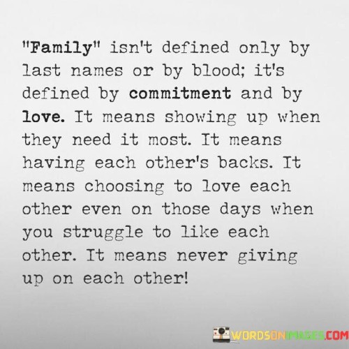 Family Isn't Defined Only By Last Names Or By Blood Quotes