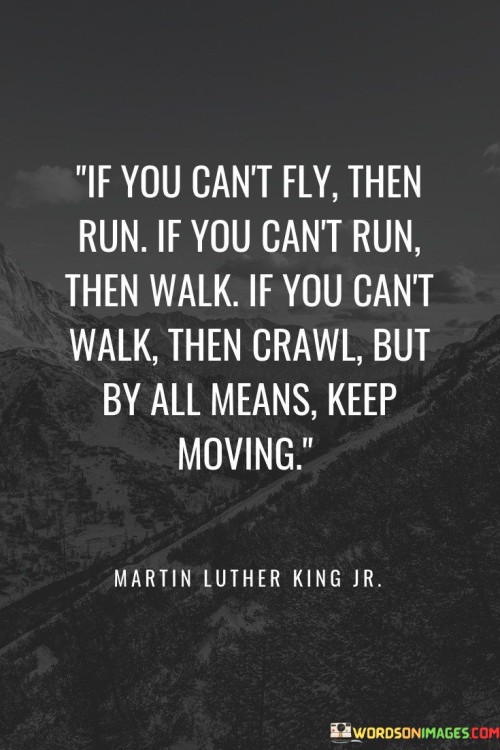 If-You-Cant-Fly-Then-Run-If-You-Cant-Run-Quotes.jpeg