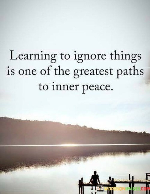 Learning To Ignore Things Is One Of The Greatest Paths Quotes