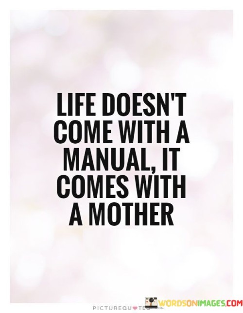 Life Doesn't Come With A Manual Quotes