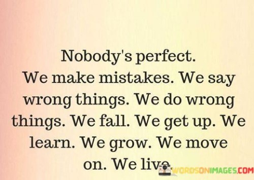 Nobodys-Perfect-We-Make-Mistakes-We-Say-Wrong-Things-Quotes.jpeg
