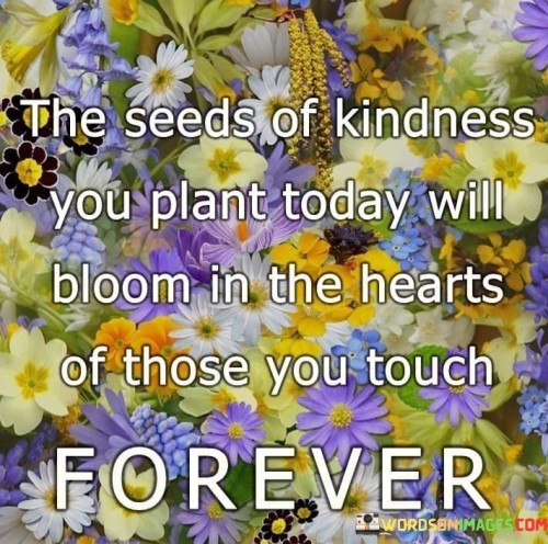 The-Seeds-Od-Kindness-You-Plant-Today-Will-Bloom-Quotes.jpeg