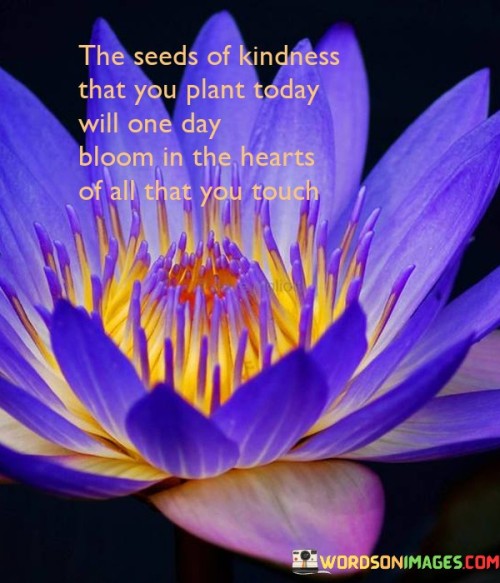 The Seeds Of Kindness That You Plant Today Quotes