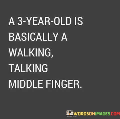 A-3-Year-Old-Is-Basically-A-Walking-Quotes.jpeg