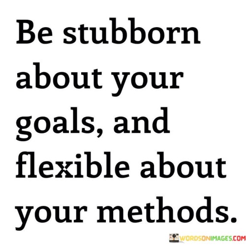 Be-Stubborn-About-Your-Goals-And-Flexible-About-Quotes.jpeg