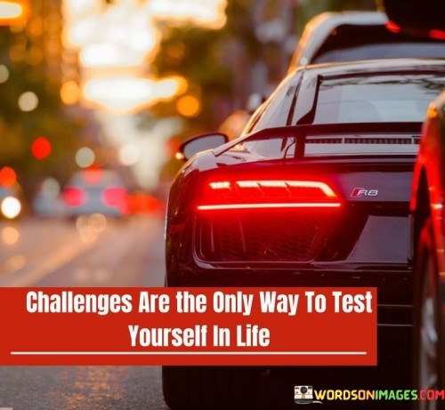 Challenges-Are-The-Only-Way-To-Test-Yourself-In-Life-Quotes.jpeg