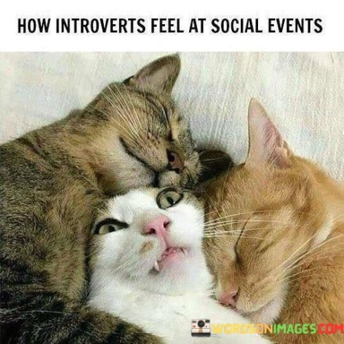 How Introverts Feel At Social Events Quotes