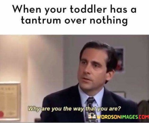 When Your Toddler Has A Tantrum Over Nothing Quotes