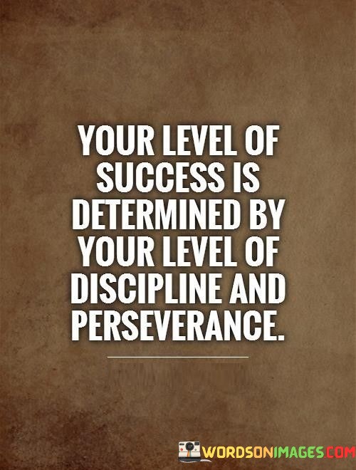 You-Level-Of-Success-Is-Determined-By-Your-Level-Of-Quotes.jpeg