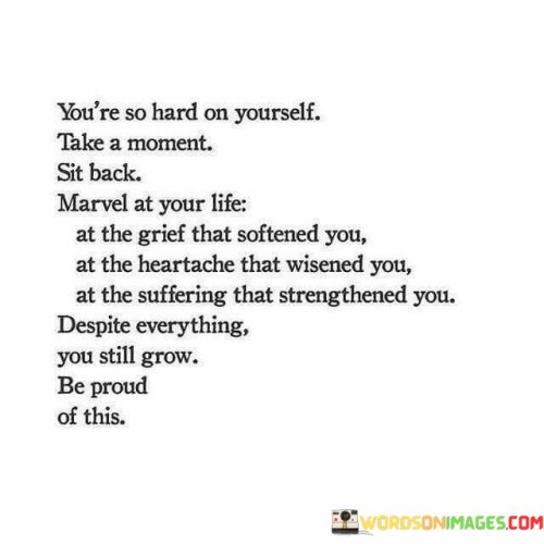 Youre-Hard-On-Yourself-Take-A-Moment-Sit-Back-Quotes.jpeg