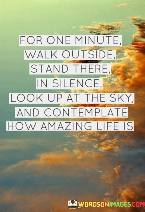 For-One-Minute-Walk-Outsidestand-There-In-Silence-Quotes.jpeg