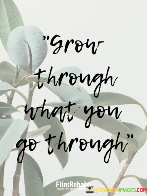 Grow-Through-What-You-Go-Through-Quotes.jpeg