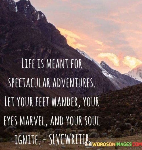 Life-Is-Meant-For-Spectacular-Adventures-Quotes.jpeg