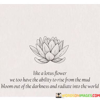 Like-A-Lotus-Flower-We-Too-Have-The-Ability-To-Rise-From-Mud-Bloom-Out-Of-Quotes.jpeg