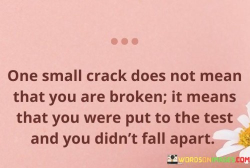 One-Small-Crack-Does-Not-Mean-That-You-Are-Broken-It-Means-That-You-Were-Put-To-The-Test-And-You-Didnt-Fall-Apart-Quotes.jpeg